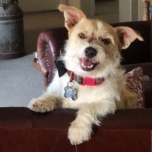 Meet your Posher, Kelli